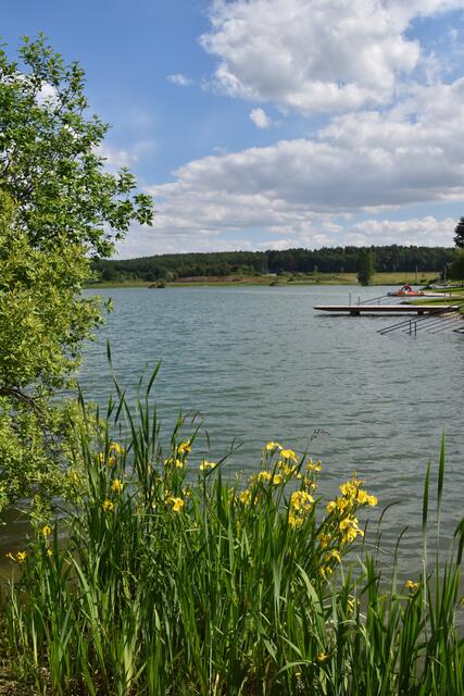 Foto: Martin Wurglits