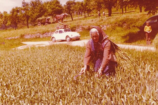 Frau Anna Schneider sen. bei Mäharbeiten im Ostergarten, Mödring um 1975 | Foto: Museum Horn