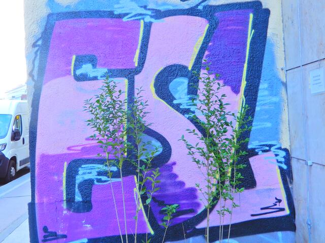 Hier gibt es wenigstens ein wenig frisches Grün ( Rotensterngasse  3)