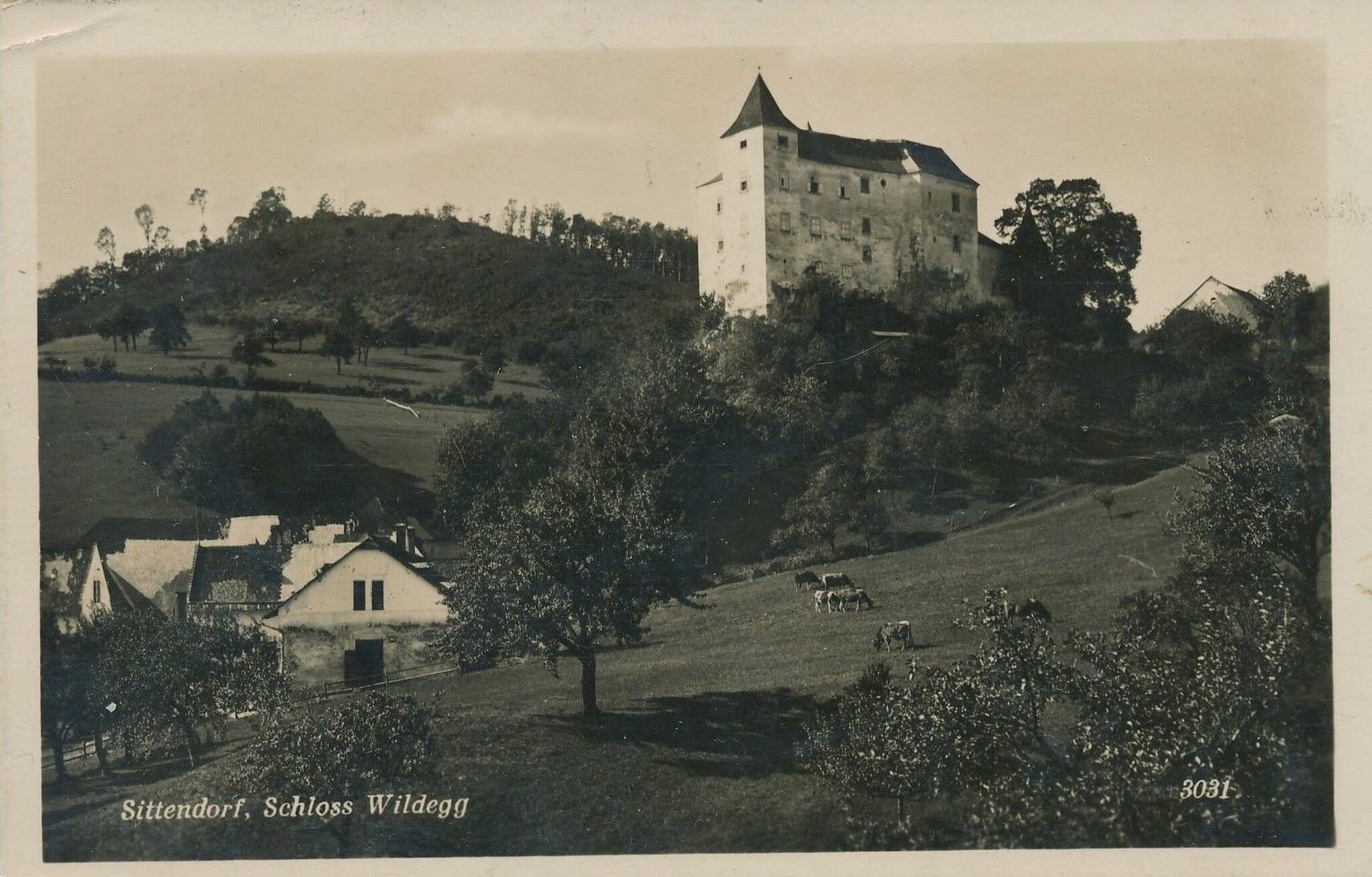 Archiv Damals Heute Sittendorf Teil 1 Burg Wildegg Um 1133 1188 Bis 2021 Modling