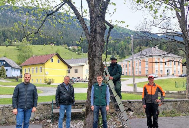 Die Durchführung der Pflegemaßnahmen wurde von Bernd Jost und Andreas Schützelhofer umgesetzt. | Foto: Marktgemeinde Bad Bleiberg