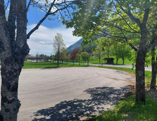 Die Allee im Talboden wurde nicht nur sicherheitstechnisch, sondern auch optisch auf Vordermann gebracht. | Foto: Marktgemeinde Bad Bleiberg