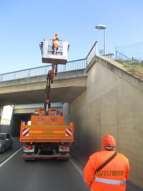 In lichten Höhen: Der "STED" ist auf allen Ebenen im Einsatz. | Foto: STED