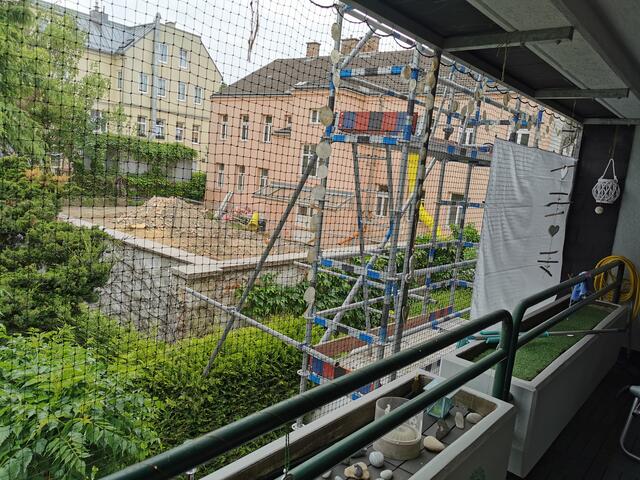Die 50 Meter hohe Fichte wurde gefällt, um ein Bauprojekt durchzusetzen. | Foto: privat