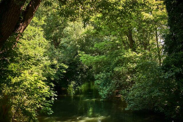 Die Ostumfahrung würde ein Natura2000-Naturschutzgebiet zerstören. | Foto: Vernunft statt Ostumfahrung