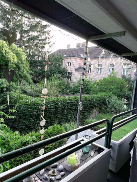 Ausblick auf den Innenhof von der Preislgasse 13.  | Foto: privat