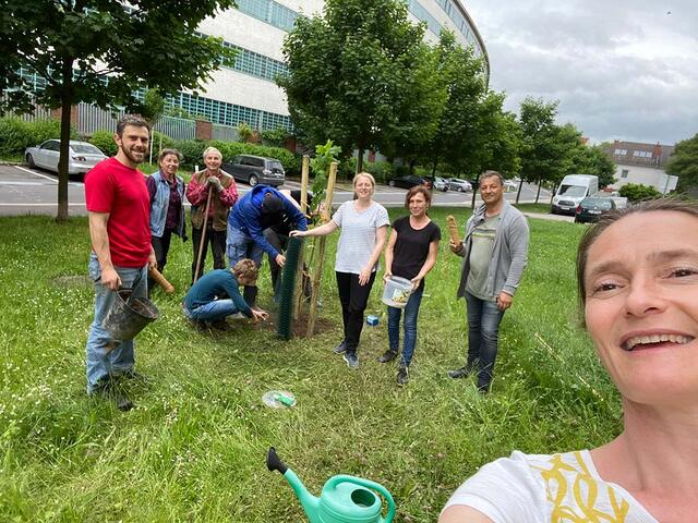 Als Ersatz für die gefällten Bäume bei der Tabakfabrik pflanzten die Anrainer nun selbst sechs junge Blutahorne in der Ludlgasse.  | Foto: Piovesan
