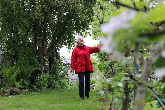 Herta Tiefenthaler kultiviert in ihrem 1.000 Quadratmetergarten eine Vielzahl an Früchten, Beeren, Gemüsesorten und Pilzen.  | Foto: Höllbacher