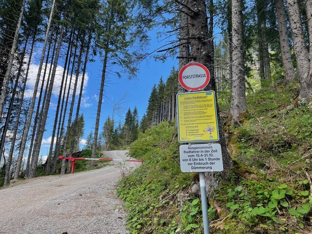 Wer sich an die Regeln hält kann Forststraßen auch mit dem Mountainbike bedenkenlos nutzen. | Foto: Marchgraber
