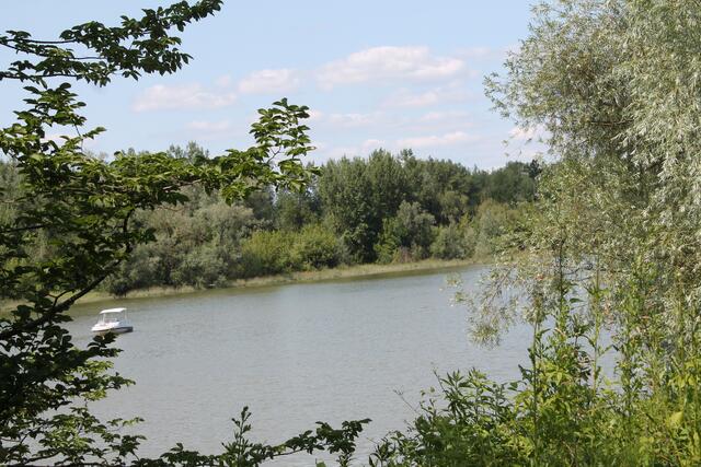 Der Donaualtarm bei Wallsee. | Foto: Köck