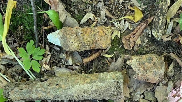 Mehrere "scharfe Granaten" wurden in der Nähe einer Penzinger Hundezone gefunden. | Foto: LPD Wien