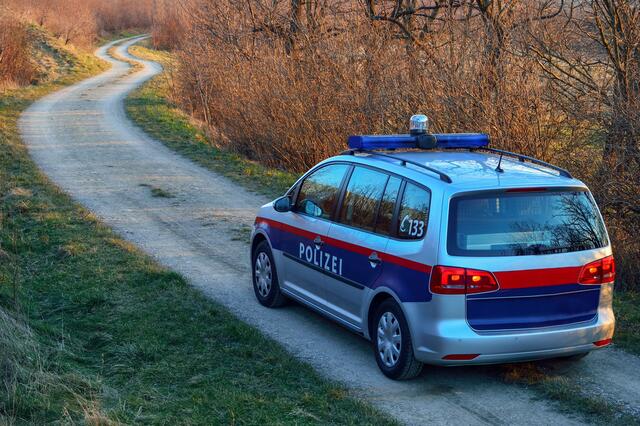 Die burgenländischen Polizeibeamten konnten gemeinsam mit ihren ungarischen Kollegen 25 illegale Migranten aufgreifen. | Foto: panthermedia.net/xeipe