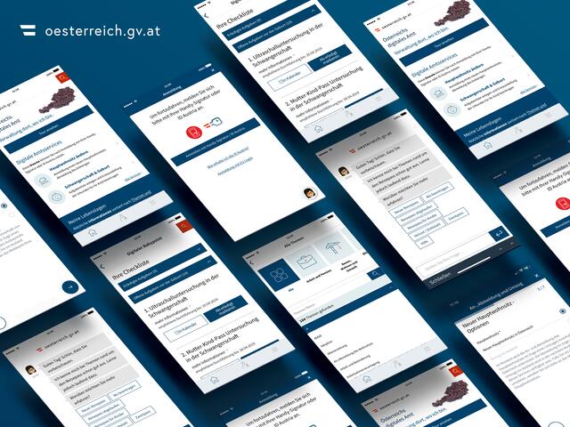 Mittels Handy-Signatur kommt man an die Zertifikate.