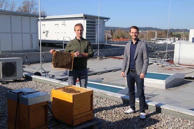 Imker Franz Mairinger und Center-Manager Christoph Vormair. | Foto: Weberzeile