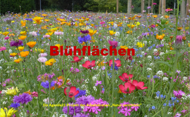 Das Projekt ist Bestandteil der Agenda 21. | Foto: Gemeinde Lengau