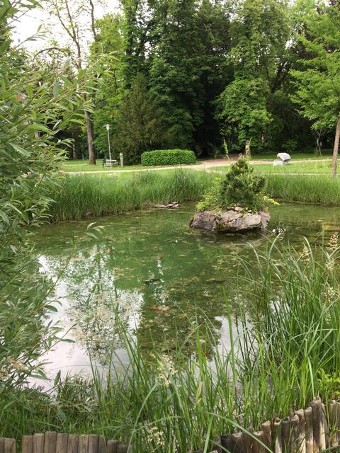 ...Spaziergang im Warmbader-Park