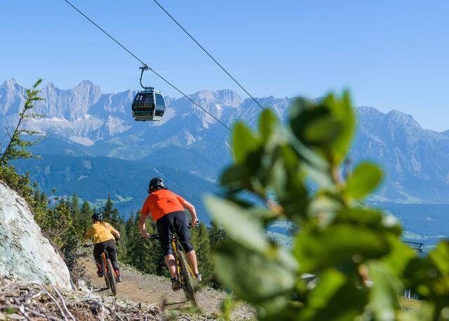 Ab sofort sind alle Trails auf der Reiteralm befahrbar. | Foto: Reiteralm Bergbahnen