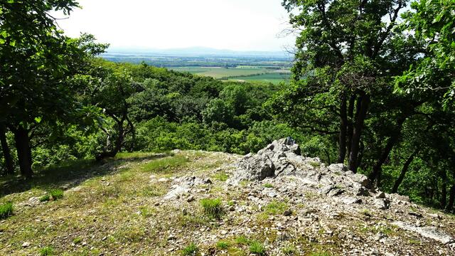 Im Gipfelbereich hat man einen tollen Ausblick, ... | Foto: S.Plischek