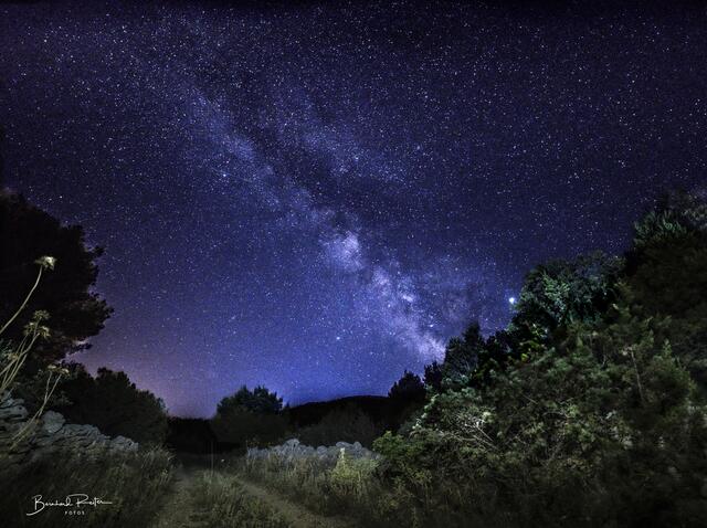 Jeder, der über eine Spiegelreflexkamera verfügt, kann Sternen-, Planeten und Milchstraßenfotos machen.