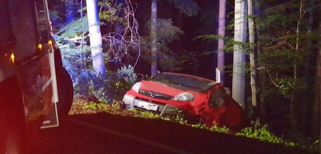 Hochwolkersdorfer Feuerwehr barg Kleinbus aus Graben. | Foto: FF Hochwolkersdorf