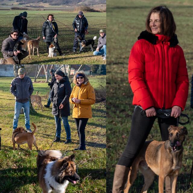 Tierbesitzer aus Enzersfeld und Königsbrunn wünschen sich eine Hundezone, weiß SPÖ-Gemeinderätin Helga Ronge.