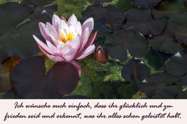 Bild #1367: Empfehle den VOLLBILDMODUS!