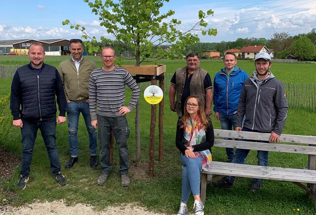 In Eberschwang wurde am Spielplatz eine Linde gepflanzt.