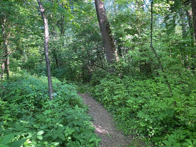 Die Leiche wurde am Innufer im Kufsteiner Ortsteil Endach gefunden. | Foto: ZOOM.Tirol