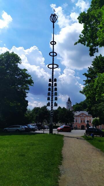 Der Maibaum in Donaustauf | Foto: Aina Geber