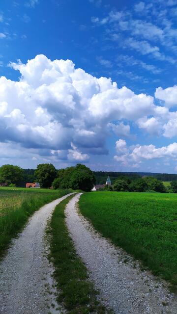 Ganz viel schöne Landschaft am Limesweg. Hier trifft man kaum jemanden, abgesehen von Fuchs und Wildschwein | Foto: Aina Geber