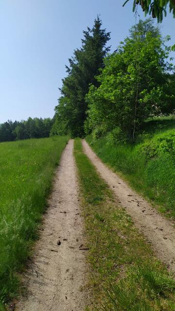 Auf dem Weg nach Hofdorf | Foto: Aina Geber
