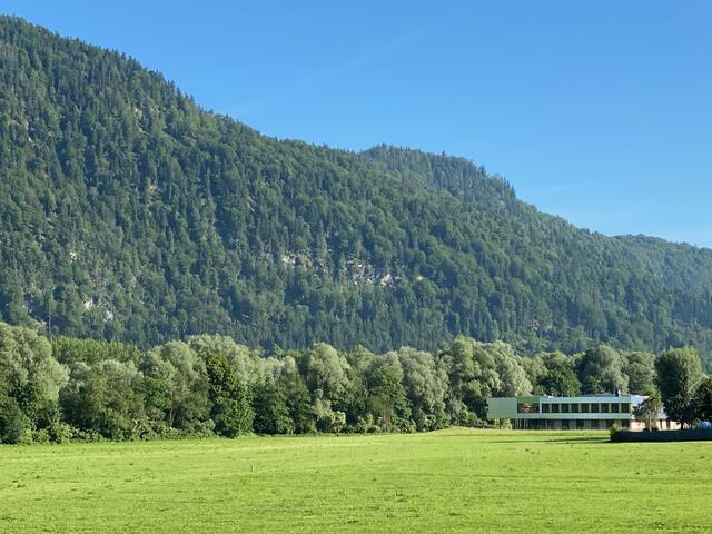 Laut Polizei hat der Beschuldigte sein Opfer in einen Hinterhalt gelockt und dort umgebracht.