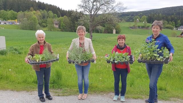 Wildblumen wurden von Bürgermeisterin Bernadette Schönbacher (2.v.l.) und den Gemeindemitarbeiterinnen ausgeteilt und angepflanzt.