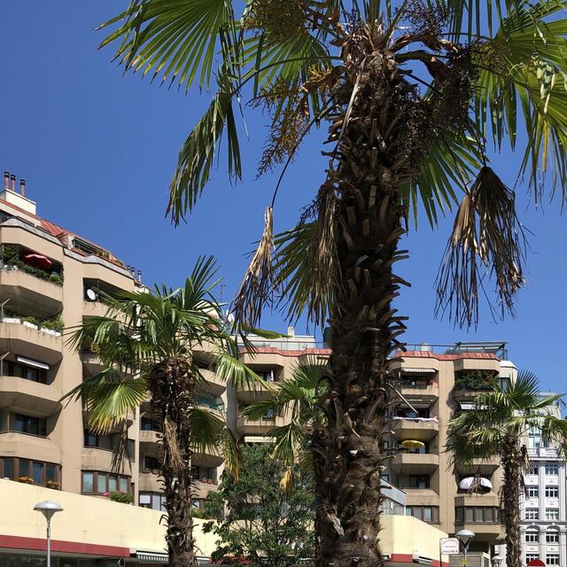 Wojciech Czaja zeigt mit seinen Fotoausstellung am Wallensteinplatz, dass die ganze Welt in Wien zu entdecken ist. Etwa erinnert "Almost Costa Brava" an die spanische Mittelmeerküste.