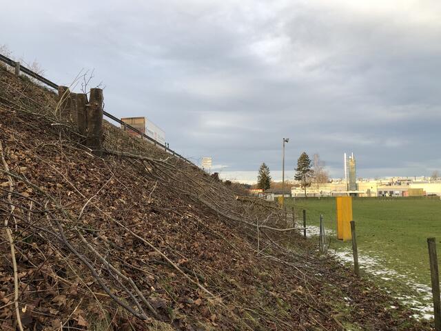 Entlang der B 57 wurde im Bereich Fehring im Winter gerodet.