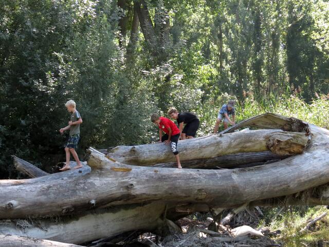 Nationalpark-Feriencamps finden im Sommer statt | Foto: Archiv NPDA