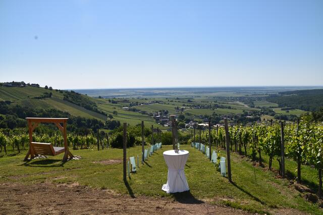 Traumhafter Ausblick von der Terrasse des Kellerstöckls am Eisenberg