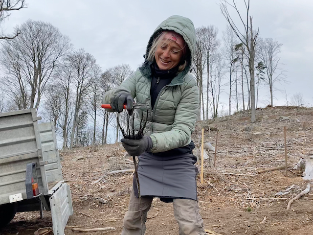 Foto: Johanna Tschautscher