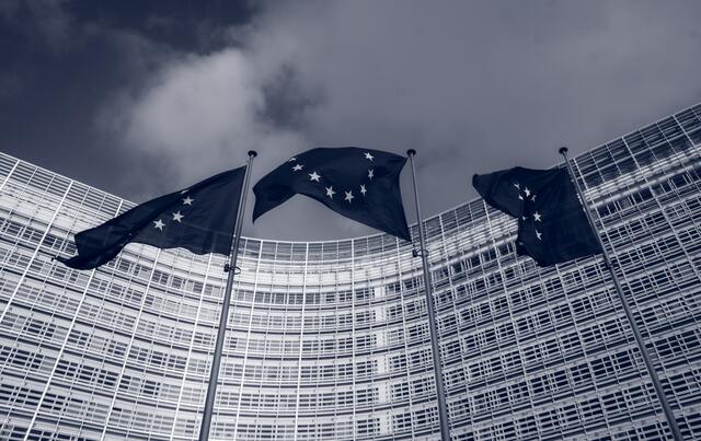 Die EU will im nächsten Jahr die Meinungen ihrer Bürgerinnen und Bürger sammeln und diese als Basis zur Weiterentwicklung der Union nutzen.  | Foto: unsplash