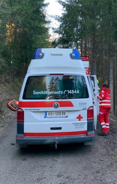 Das Rote Kreuz Voitsberg-Köflach barg den Verletzten in Kleinsöding (Symbolbild)