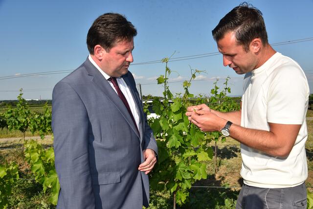 Im Bild: Bgm. Stefan Szirucsek und Winzer StR Franz Schwabl.