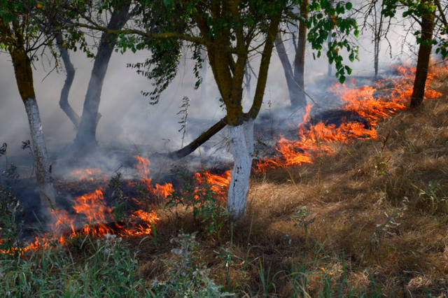 Im Bezirk Gmunden gibt es derzeit eine erhöhte Waldbrandgefahr.
