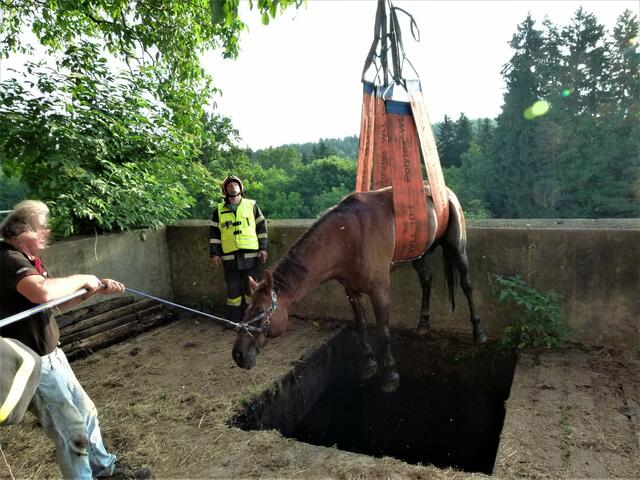 Mit dem WLF-Kran der FF Voitsberg wurde das Pferd aus der Jauchengrube gehoben.