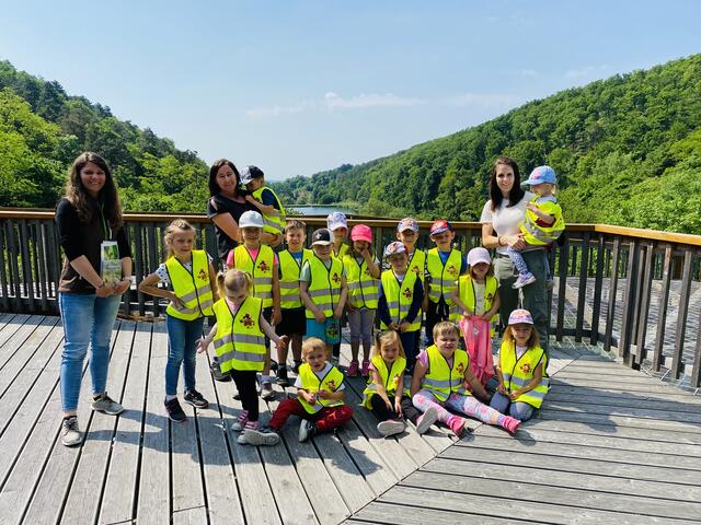 Die Kindergartenkinder waren am Baumwipfelweg und der Vogelwelt unterwegs. | Foto: Verena Erdödi