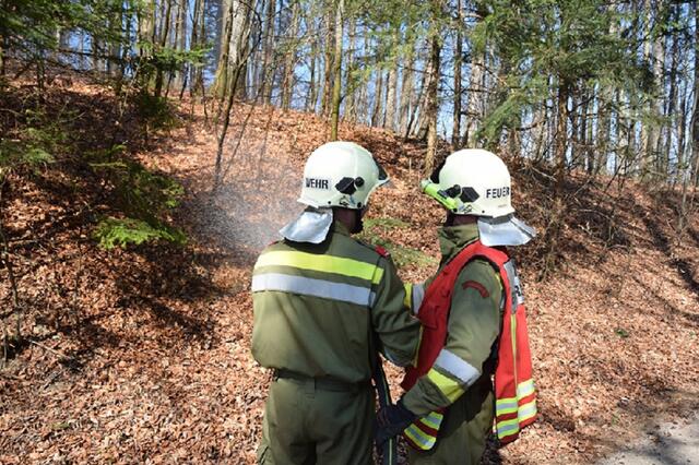 Die Waldbrandgefahr-Verordnung ist in Kraft. Die Feuerwehr warnt im gesamten Bezirk vor Waldbränden.