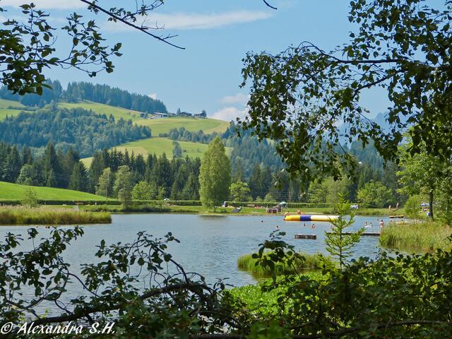 Lauchsee - Blick vom Spielplatz aus