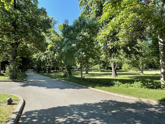 Der Flohmarkt findet beim oberen Eingang des Parks in der Alserbachstraße 16 statt.