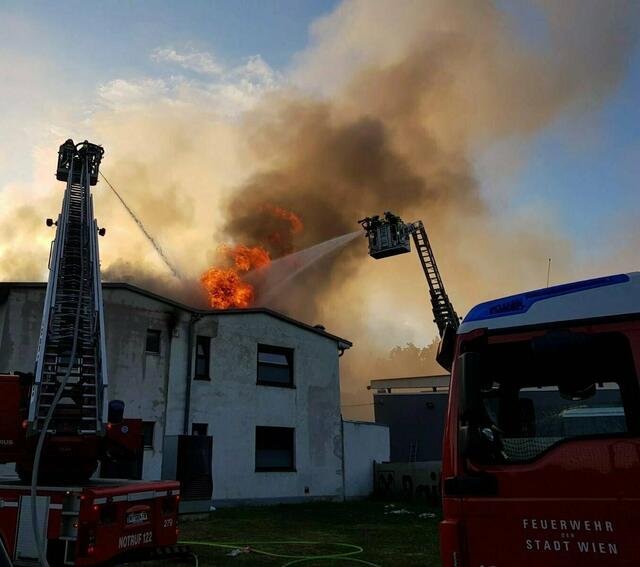 Nach dem Großbrand im Leopoldstädter Vereinslokal hofft der Österreichische Hockeyverband auf finanzielle Unterstützung. | Foto: Stadt Wien Feuerwehr