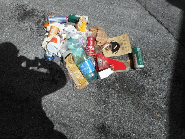 Müll wurde ein gesammelt: Als praktischer Beitrag fand zeitgleich in Landeck-Perjen und Javia ein „Plogging“ statt. | Foto: Werner Duschek