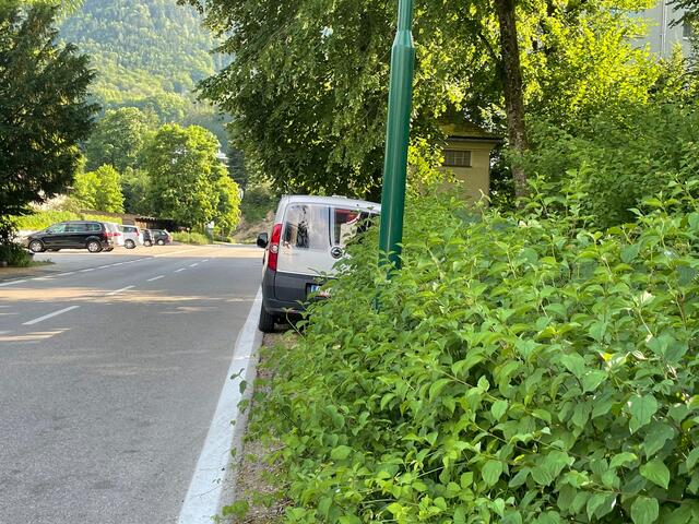 Standort: Dumbastraße. Achtung: Hier sind nur 30 km/h erlaubt!